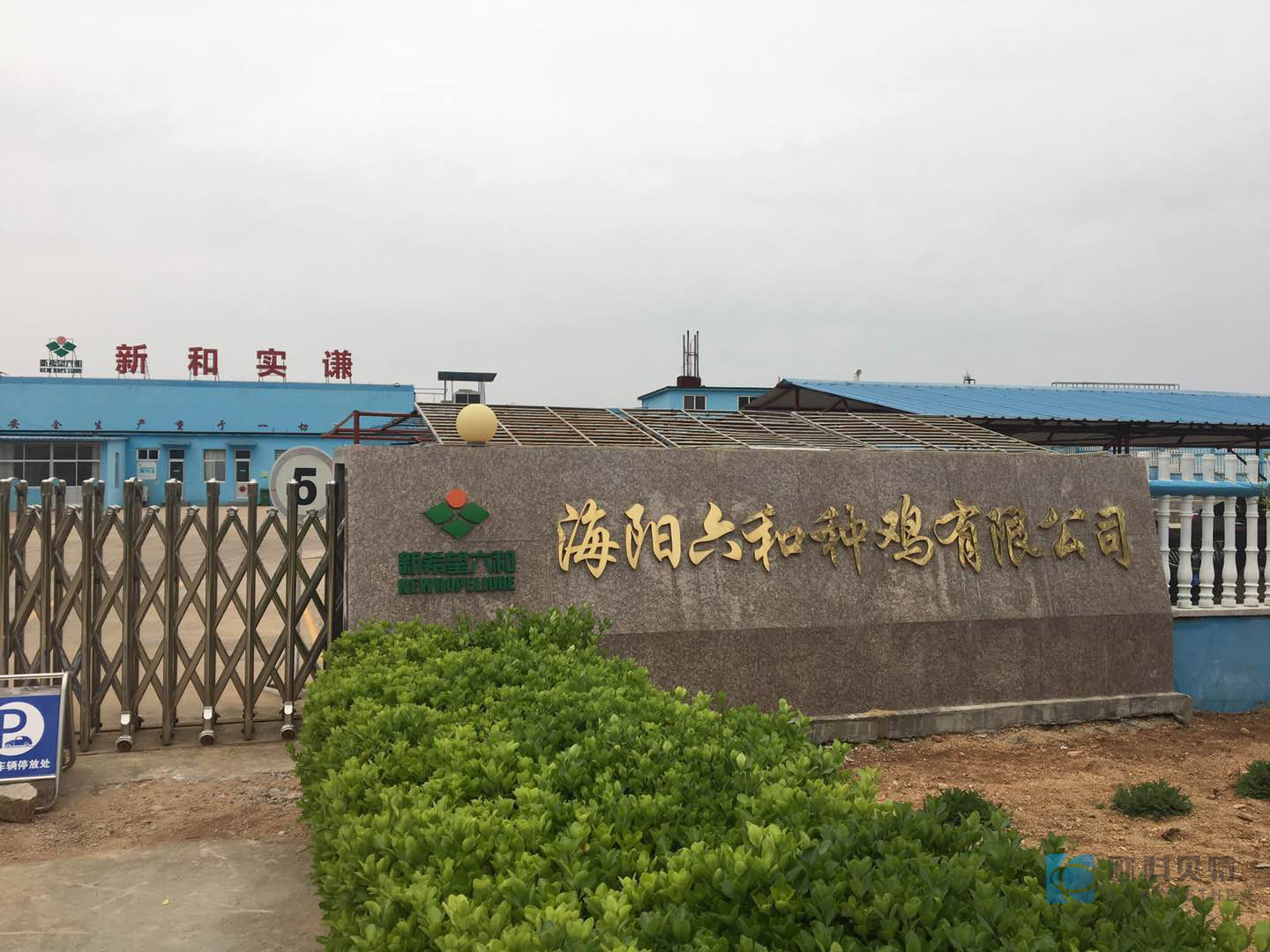 海阳六和种鸡养殖有限公司